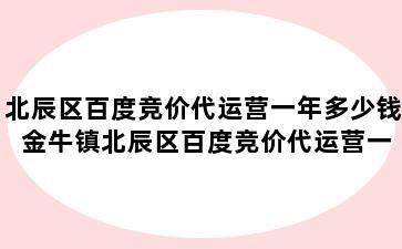 北辰区百度竞价代运营一年多少钱 金牛镇北辰区百度竞价代运营一年多少钱